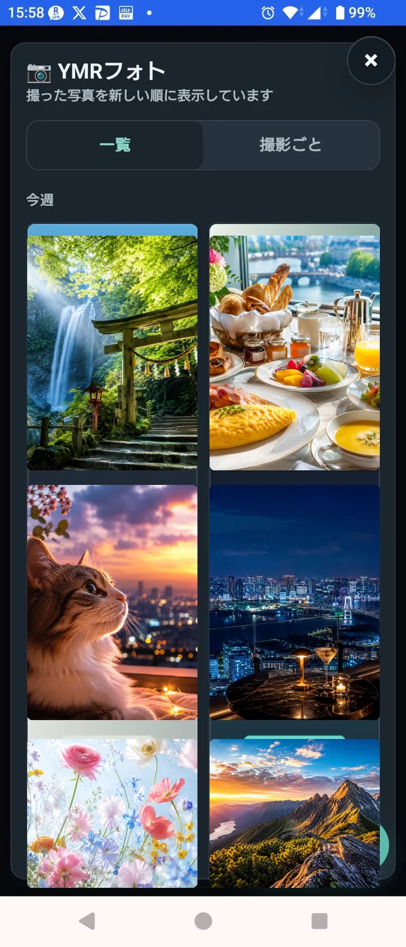 YMRフォトで旅行、食事、猫、夜景、花、山の写真を一覧表示している画面